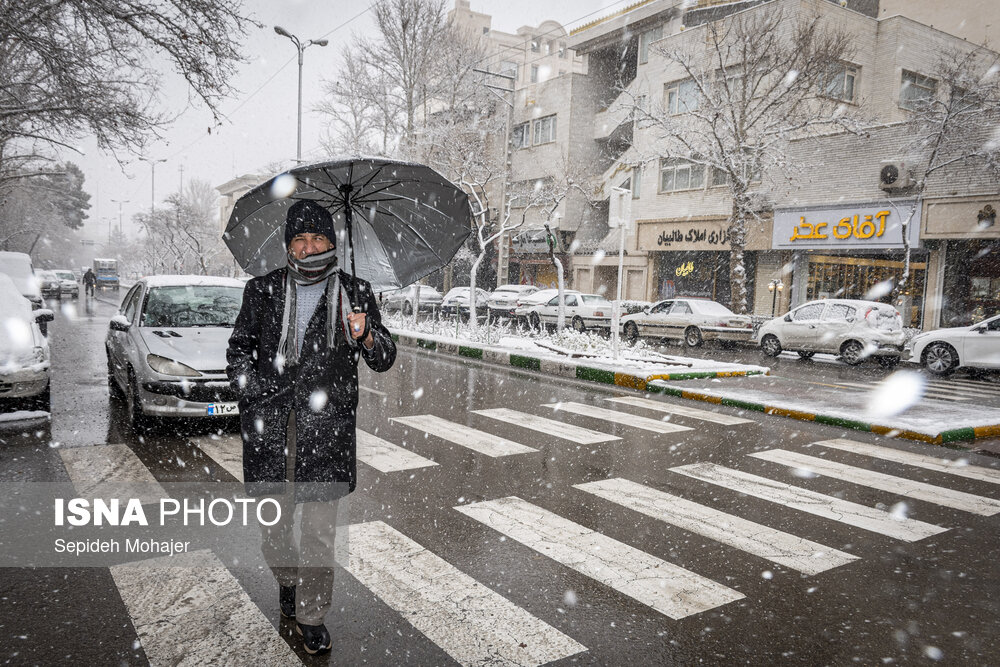 عکس/ بارش زیبای برف در مشهد