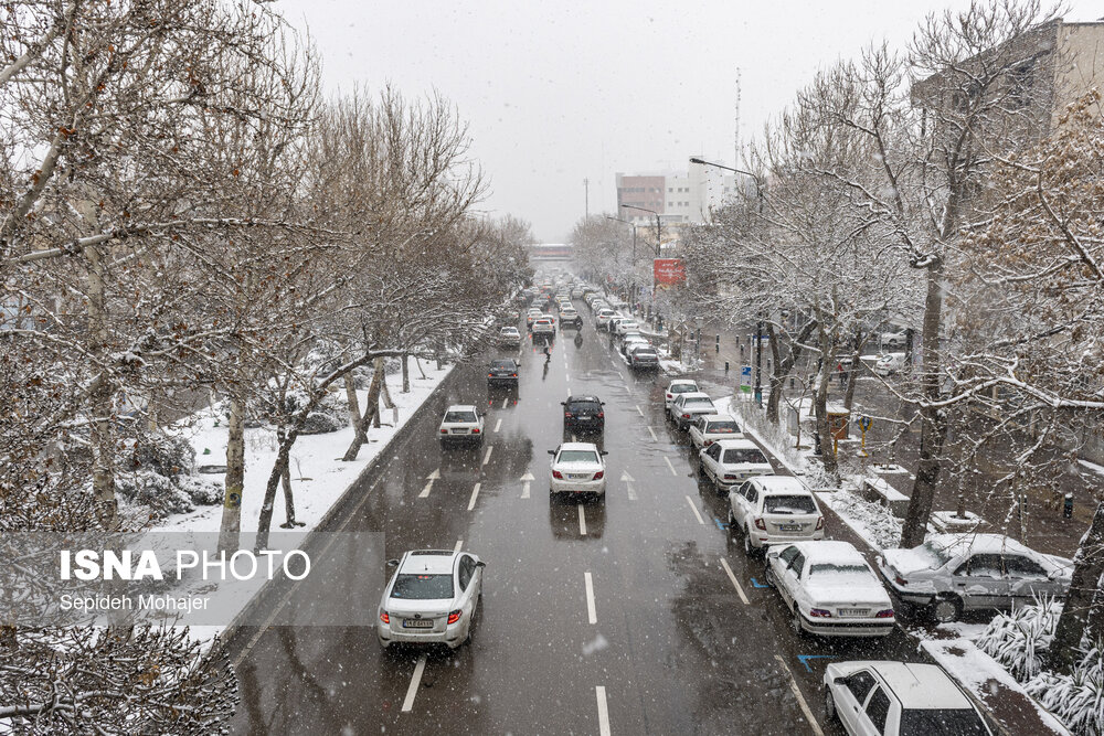 عکس/ بارش زیبای برف در مشهد