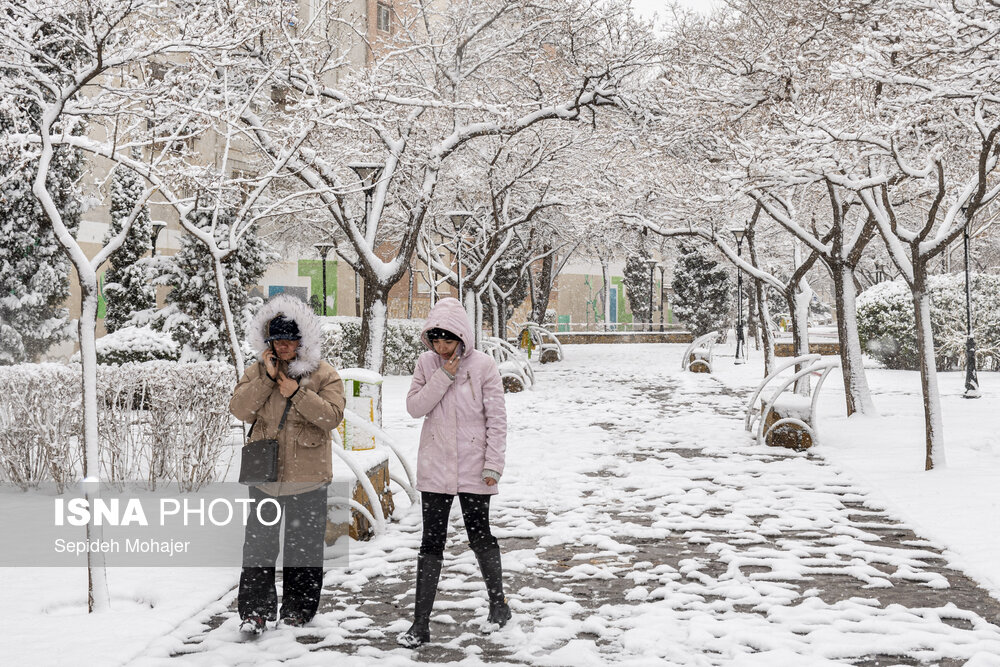 عکس/ بارش زیبای برف در مشهد