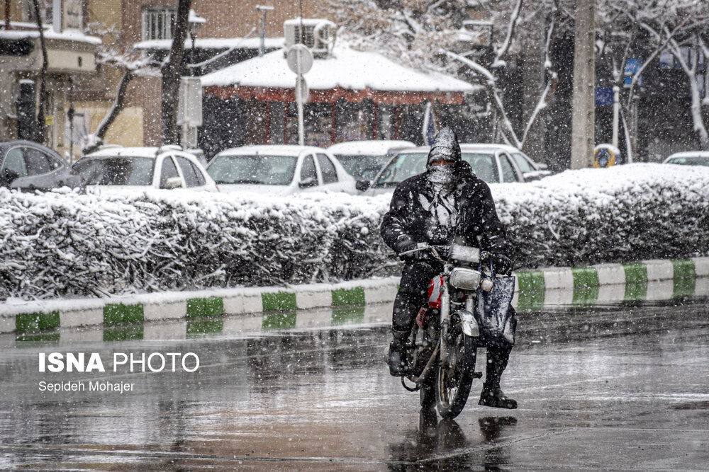 عکس/ بارش زیبای برف در مشهد