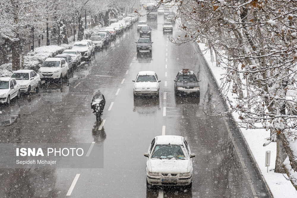 عکس/ بارش زیبای برف در مشهد