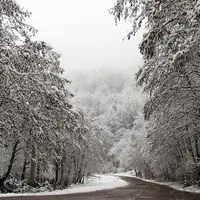 مازندران یک‌دست سپیدپوش شد