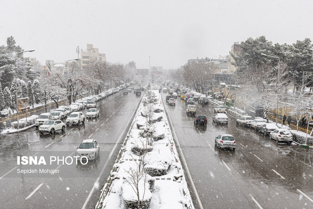 عکس/ بارش زیبای برف در مشهد