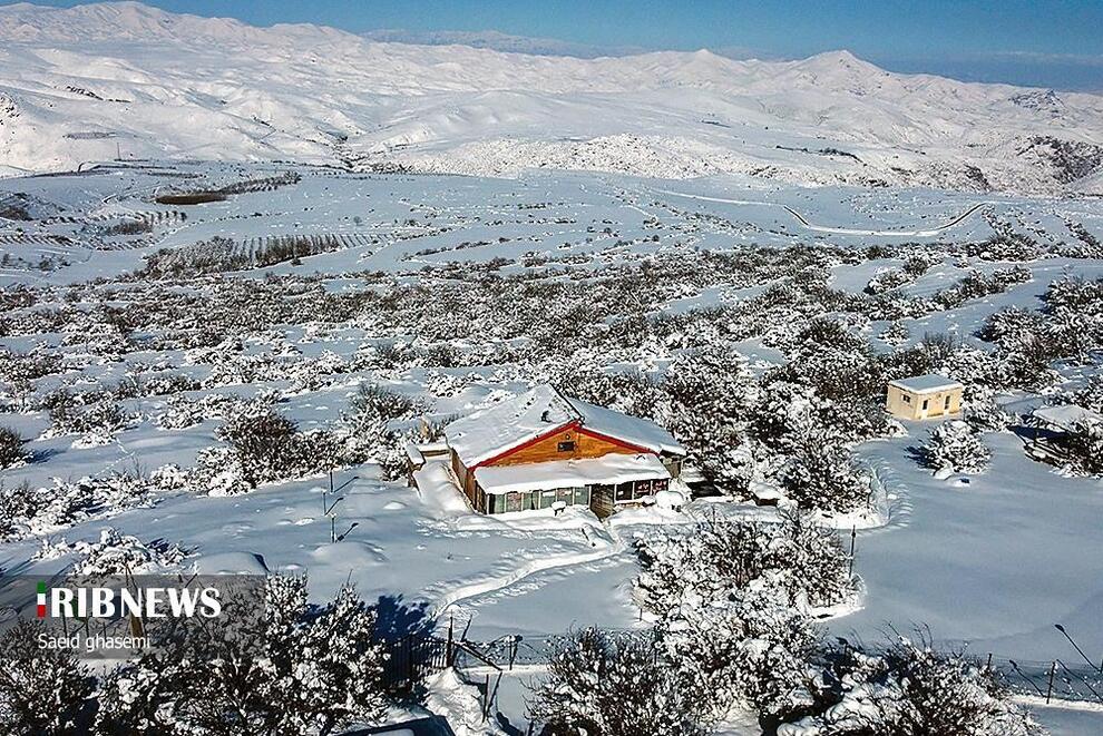 عکس/ مارال‌های جنگل فندقلو در برف و سرمای زیر ۲۰ درجه