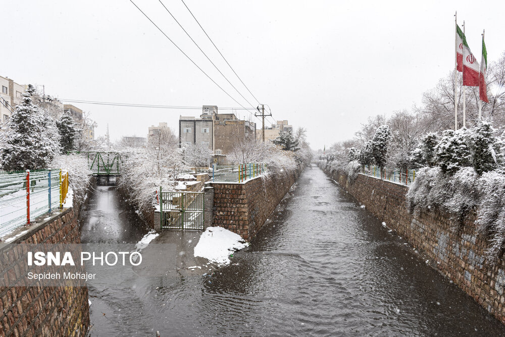 عکس/ بارش زیبای برف در مشهد