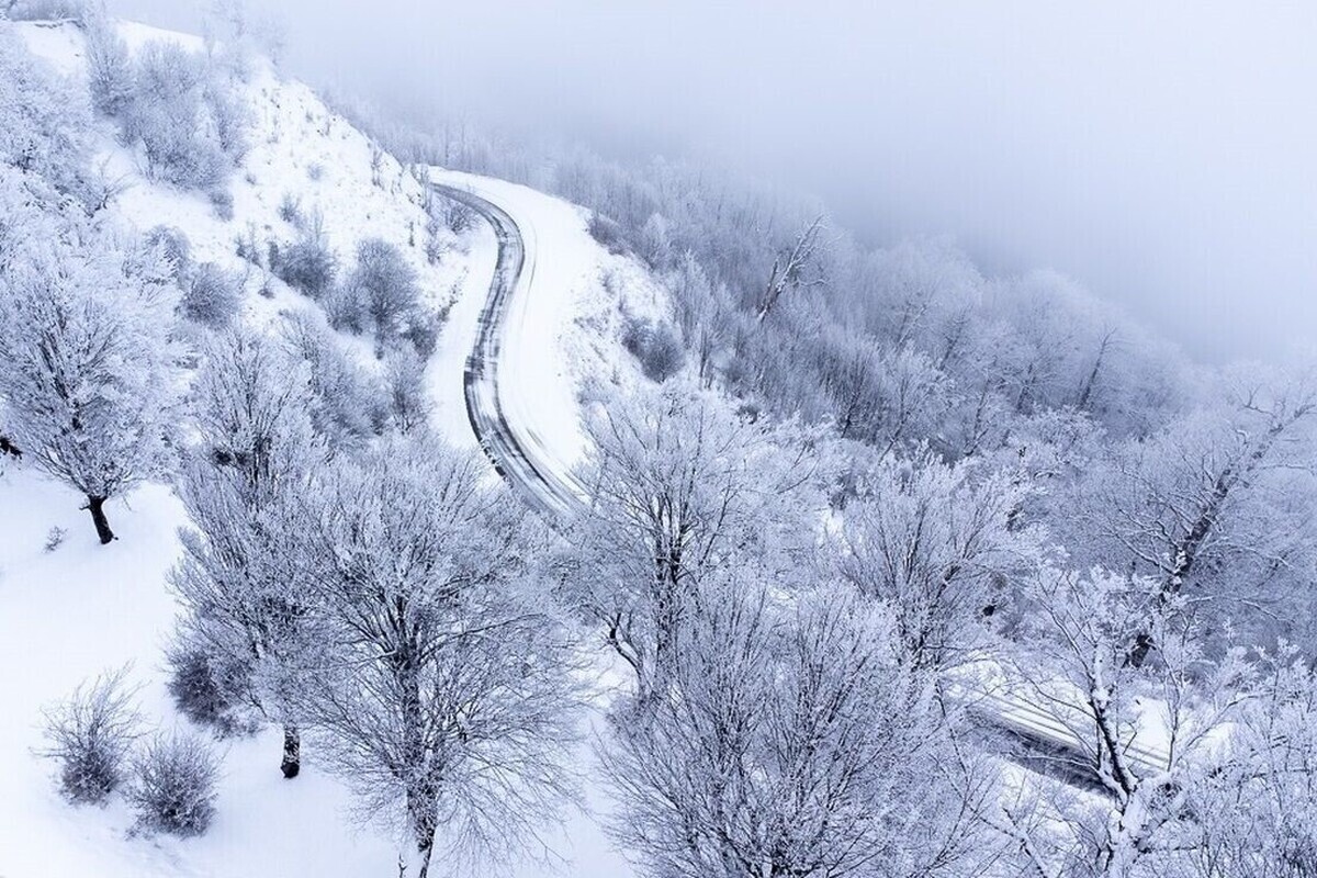 روز زیبای برفی در پارک ملی گلستان