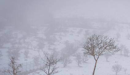 وزش باد اردبیل را در بر می‌گیرد