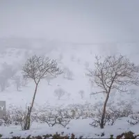 وزش باد اردبیل را در بر می‌گیرد