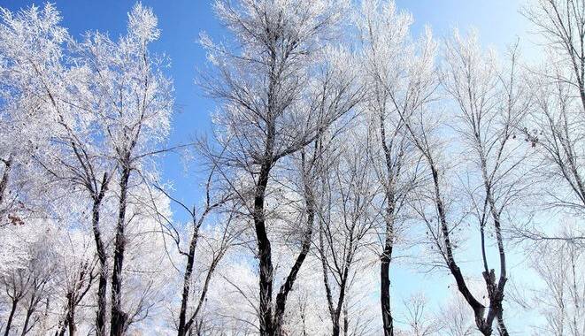 تهران زیر صفر؛ دمای مناطق مختلف استان چقدر است