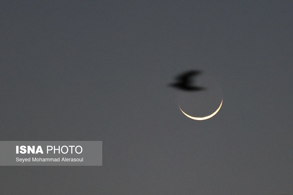 عکس/ استهلال ماه مبارک رمضان در مشهد