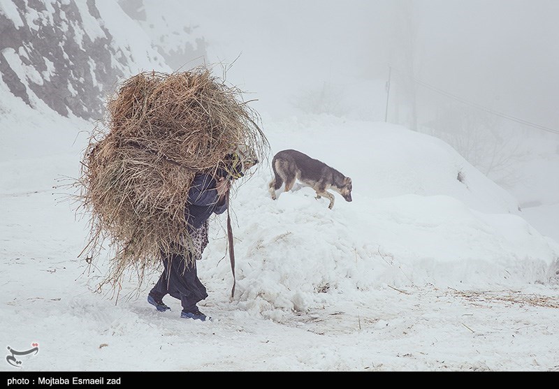 عکس/ طبیعت برفی روستاهای بخش انزل ارومیه