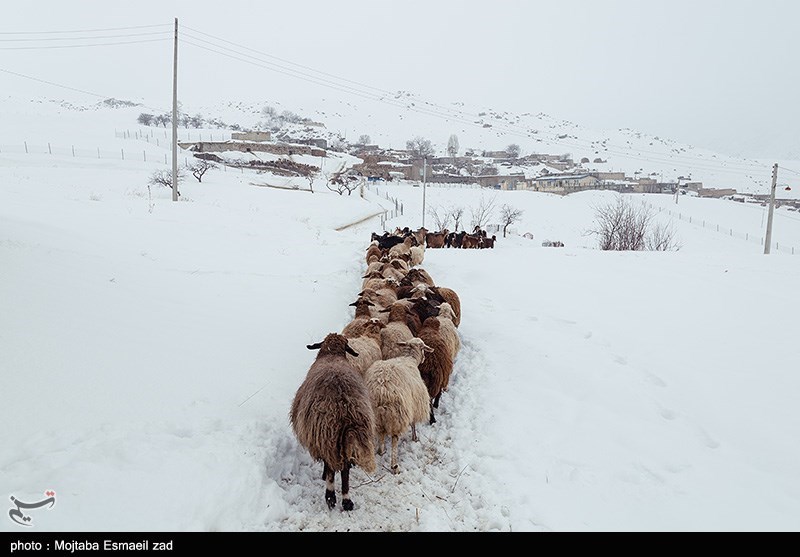 عکس/ طبیعت برفی روستاهای بخش انزل ارومیه