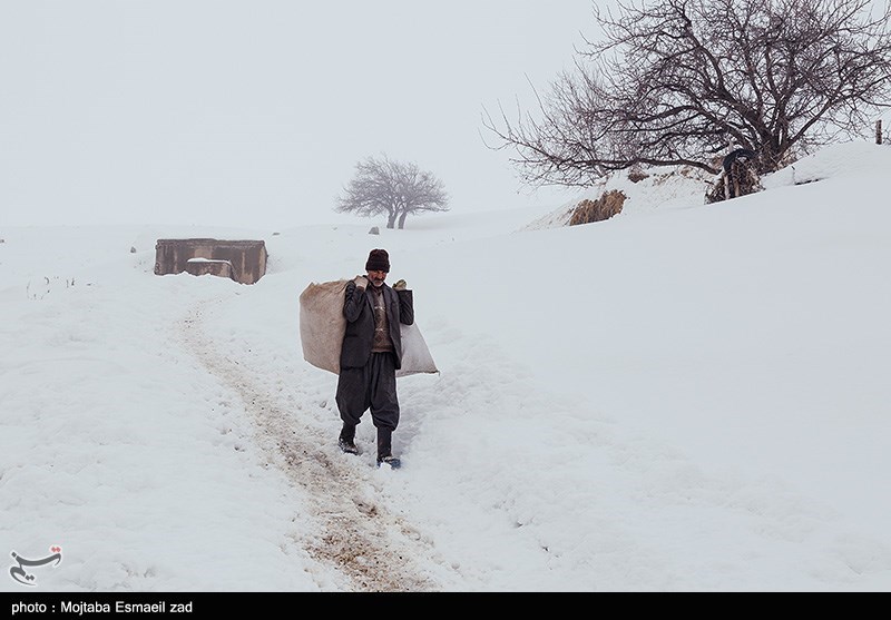 عکس/ طبیعت برفی روستاهای بخش انزل ارومیه