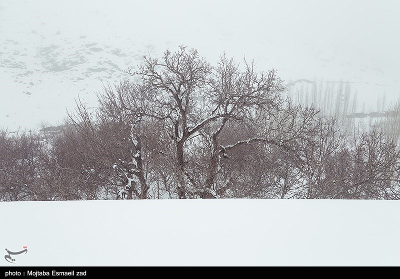 عکس/ طبیعت برفی روستاهای بخش انزل ارومیه