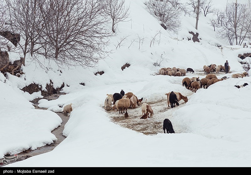 عکس/ طبیعت برفی روستاهای بخش انزل ارومیه