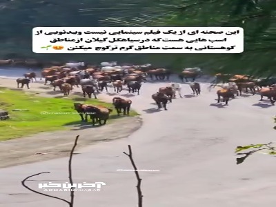 کوچ اسب‌ها در گیلان