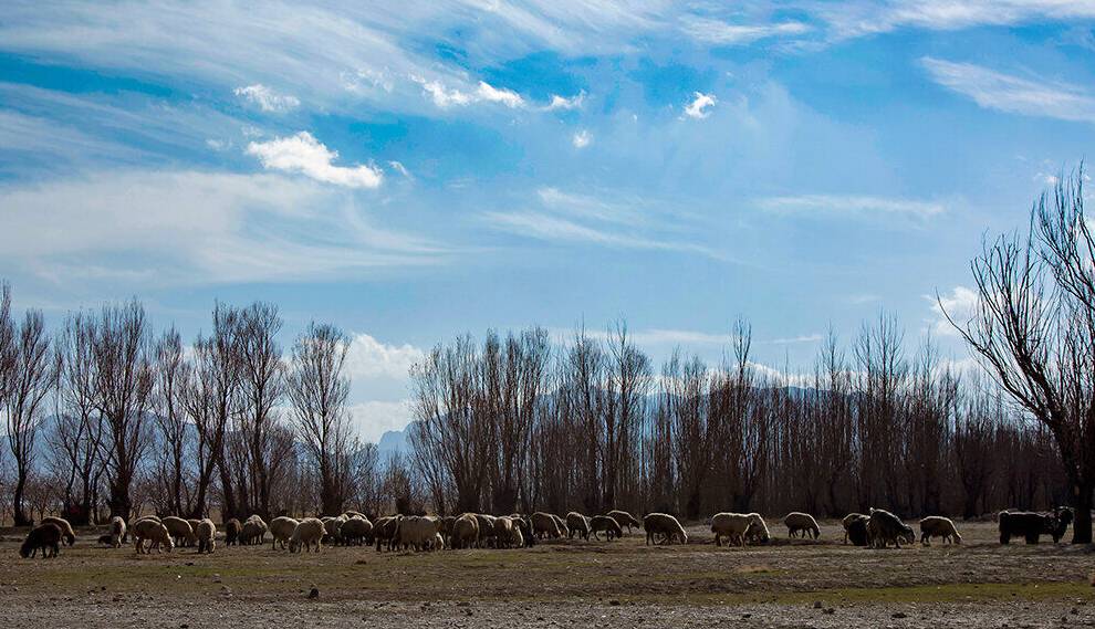 سوز سرمای زمستانی در آذربایجان غربی کاسته میشود