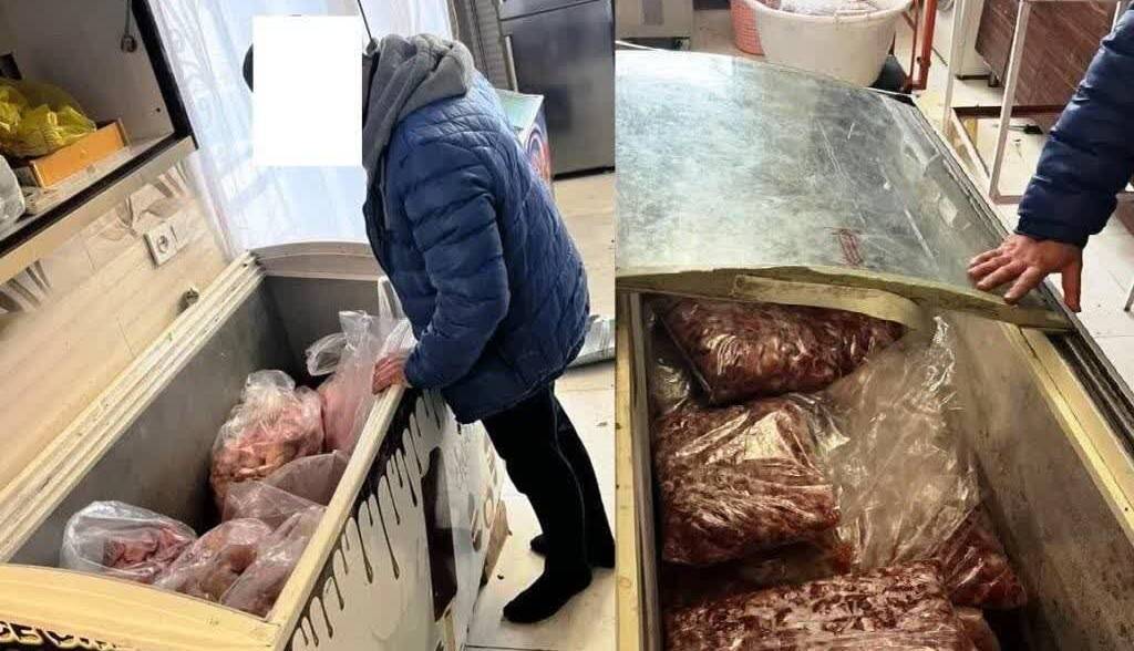 ۵۰ تن گوشت غیرقابل‌مصرف در زنجان معدوم‌سازی شد