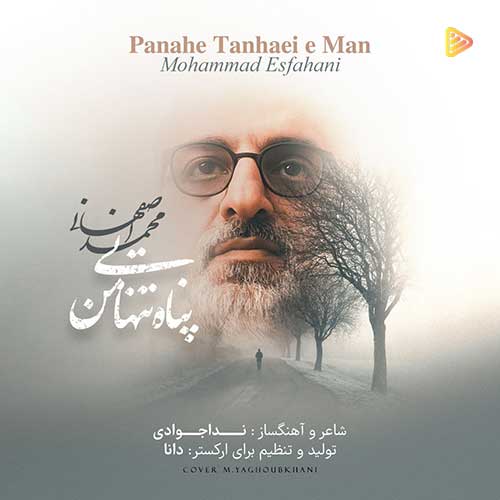 آهنگ جدید/ محمد اصفهانی «پناه تنهایی من» را منتشر کرد 