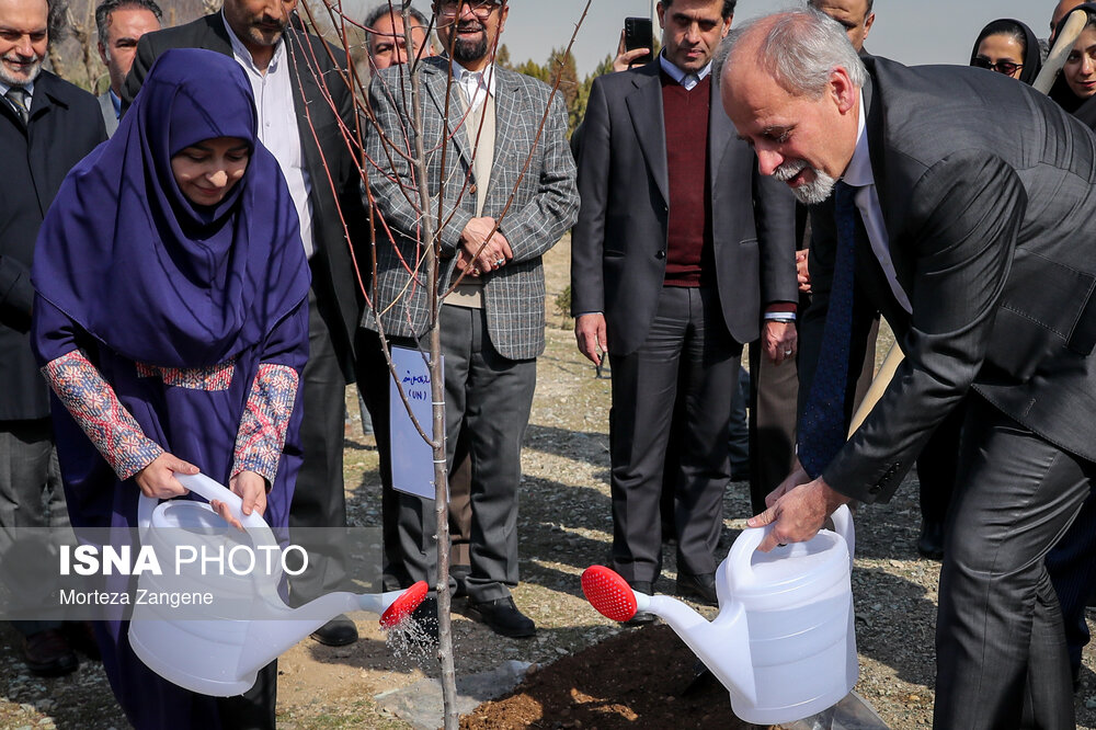 عکس/ مراسم روز درختکاری با حضور رییس سازمان محیط زیست و سفرای خارجی