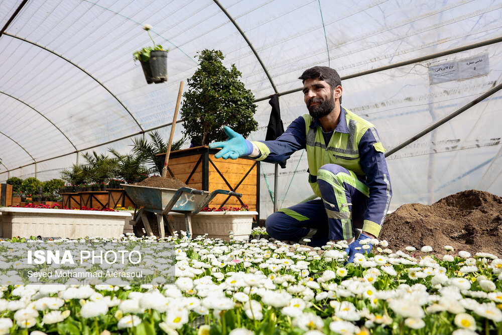 اقدامات طرح استقبال از بهار ۱۴۰۴ در مشهد