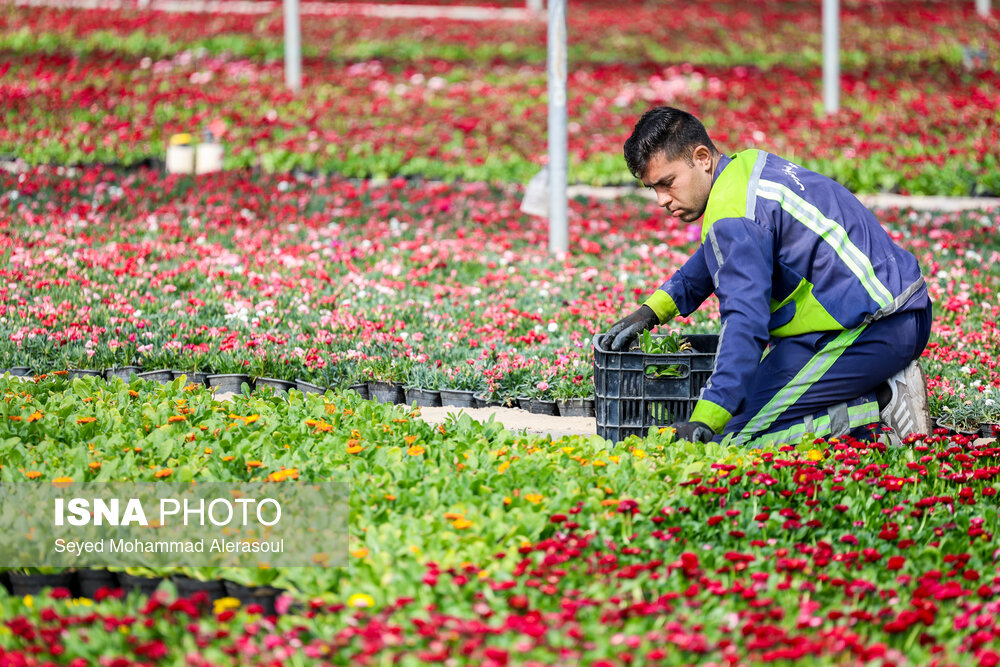 اقدامات طرح استقبال از بهار ۱۴۰۴ در مشهد