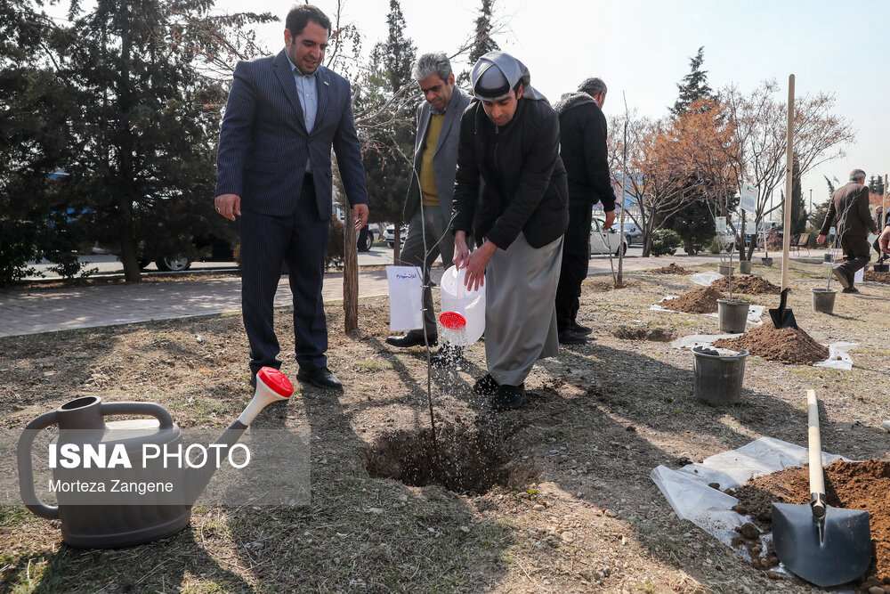 عکس/ مراسم روز درختکاری با حضور رییس سازمان محیط زیست و سفرای خارجی