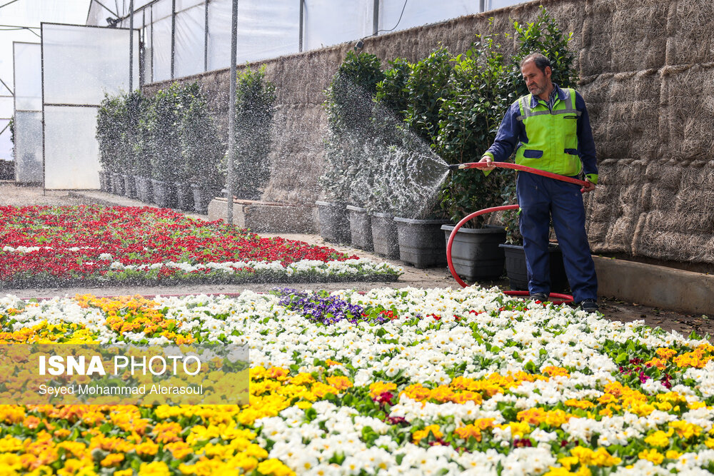 اقدامات طرح استقبال از بهار ۱۴۰۴ در مشهد