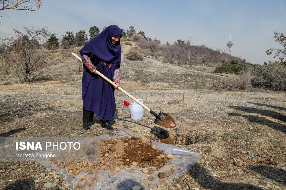 عکس/ مراسم روز درختکاری با حضور رییس سازمان محیط زیست و سفرای خارجی