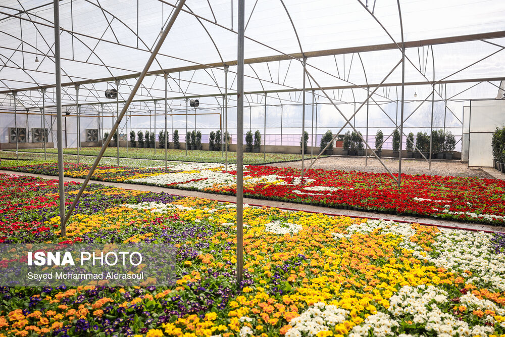 اقدامات طرح استقبال از بهار ۱۴۰۴ در مشهد