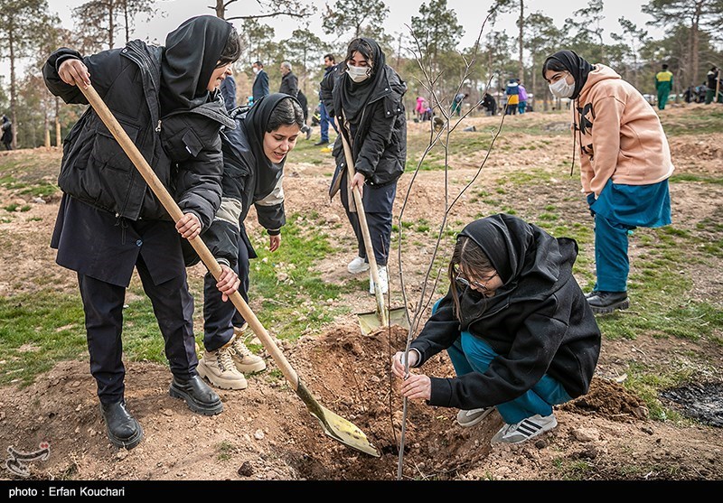 عکس/ غرس ۲۰۰۰ نهال توسط دانش آموزان مدارس شهر تهران