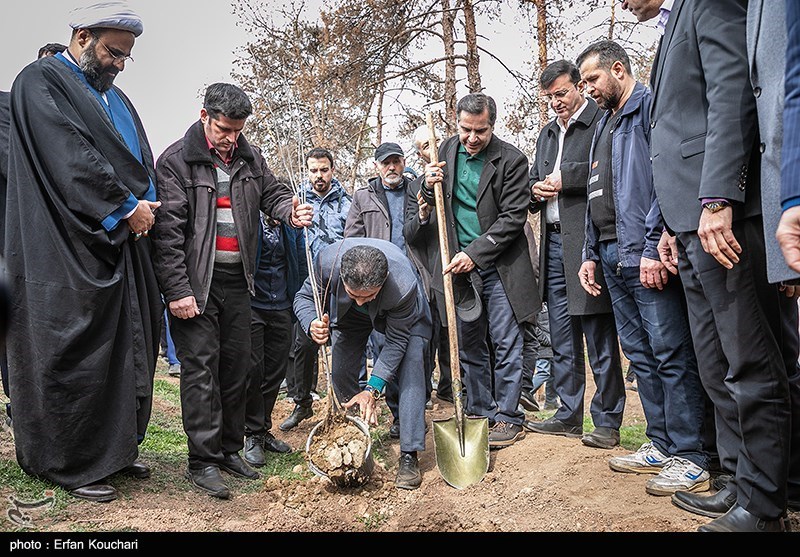 عکس/ غرس ۲۰۰۰ نهال توسط دانش آموزان مدارس شهر تهران