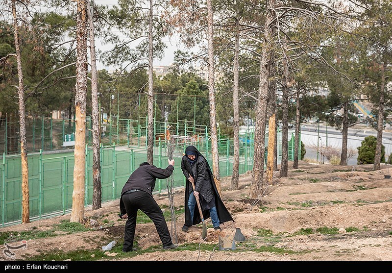 عکس/ غرس ۲۰۰۰ نهال توسط دانش آموزان مدارس شهر تهران