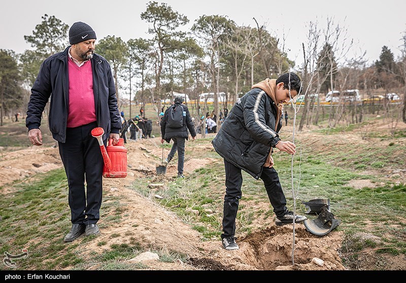 عکس/ غرس ۲۰۰۰ نهال توسط دانش آموزان مدارس شهر تهران