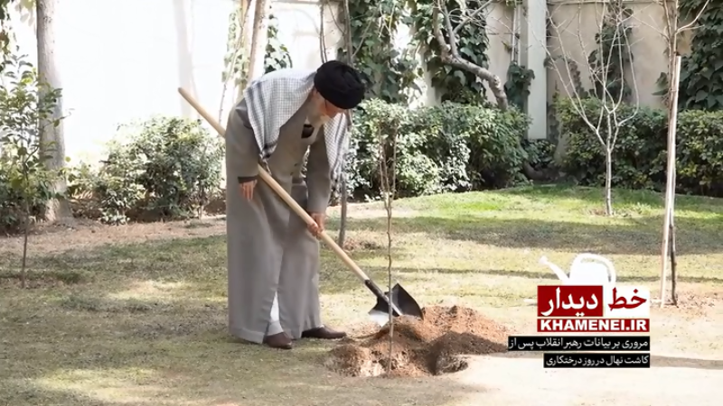 نهضت ملی درختکاری را جدی بگیرید