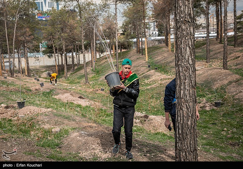 عکس/ غرس ۲۰۰۰ نهال توسط دانش آموزان مدارس شهر تهران