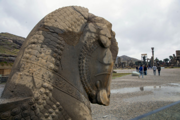 باران زمستانی در تخت جمشید