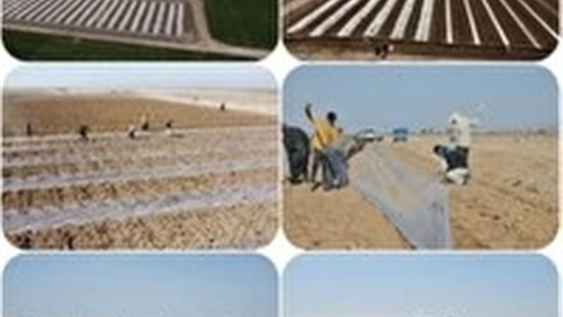 آغاز کاشت محصولات جالیزی در شهرستان طبس