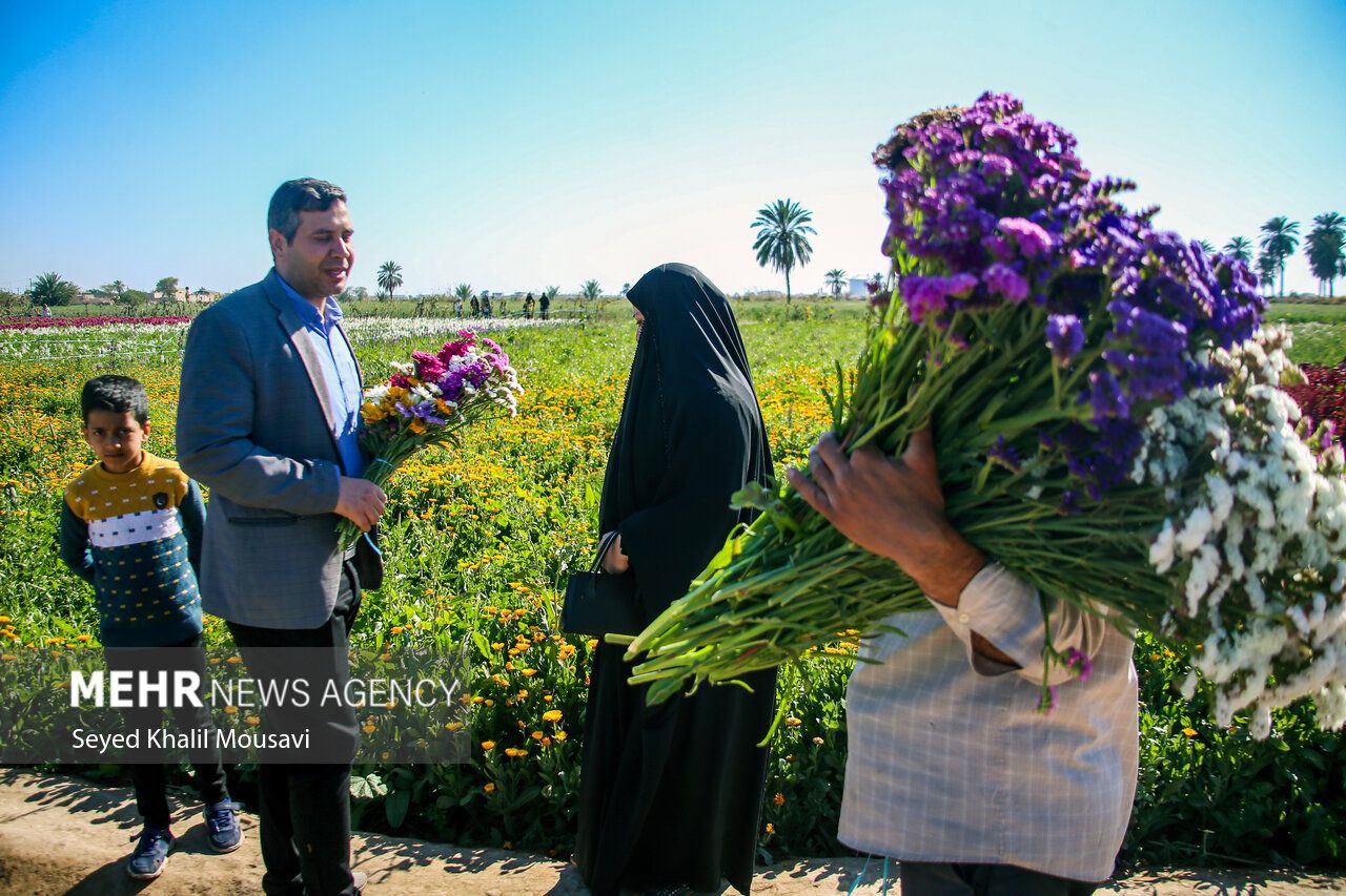 بهار فروشی باغداران محلی
