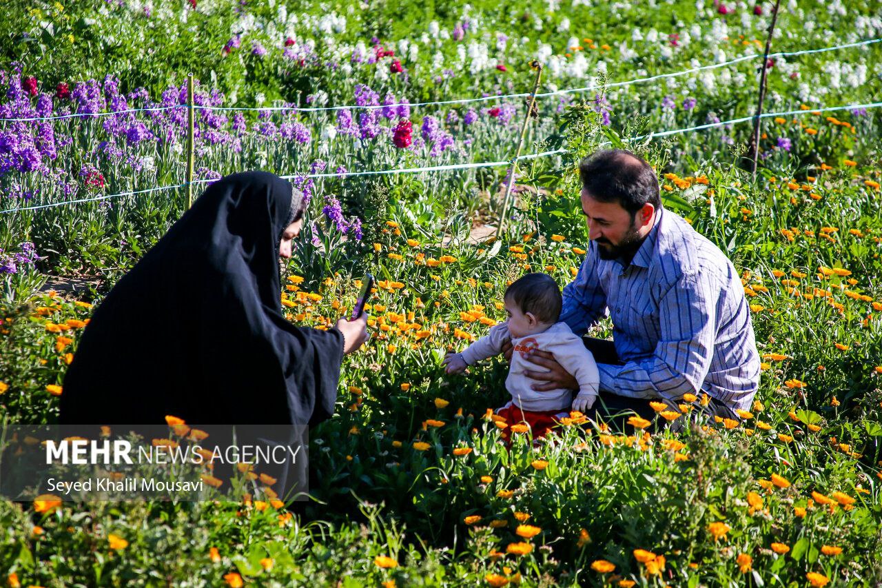 بهار فروشی باغداران محلی