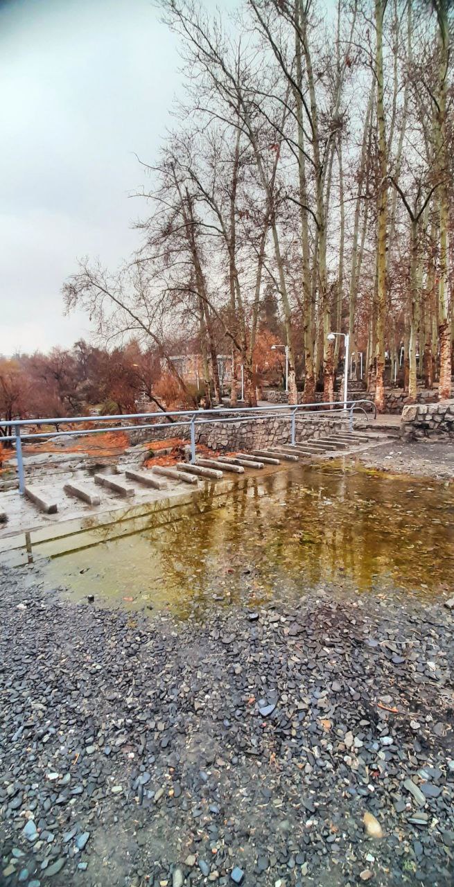 طبیعت زیبای زمستانی پارک جنگلی مشهد