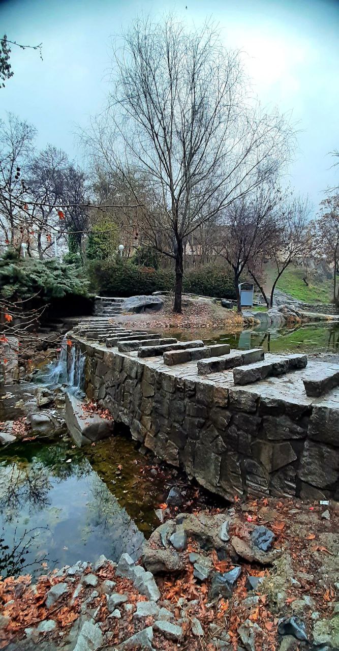 طبیعت زیبای زمستانی پارک جنگلی مشهد