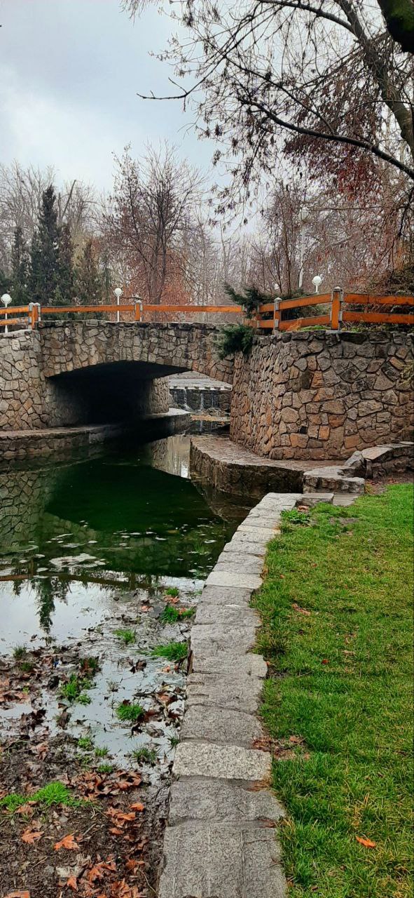 طبیعت زیبای زمستانی پارک جنگلی مشهد