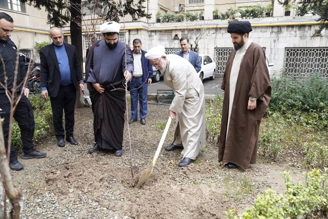 رسیدگی به جرایم زمین خواری و قلع و قمع درختان بدون مسامحه