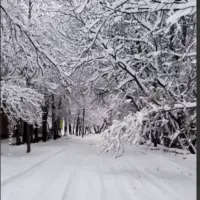 طبیعت چله‌گاه سپیدان برفی