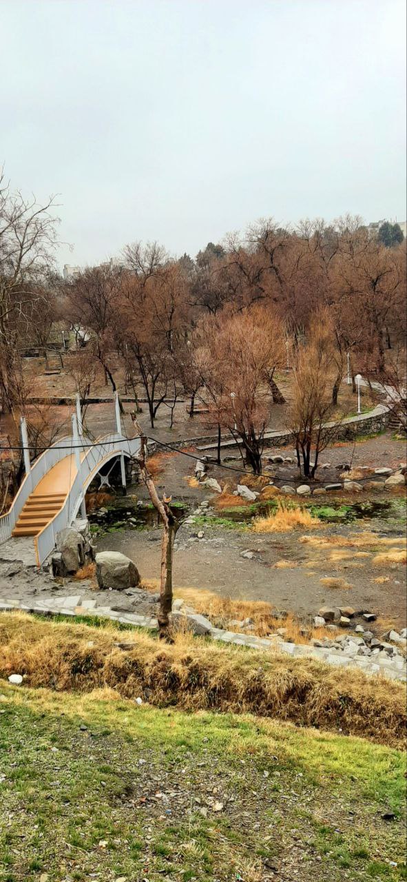 طبیعت زیبای زمستانی پارک جنگلی مشهد