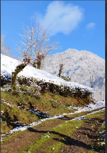 طبیعت برفی روستای شولم