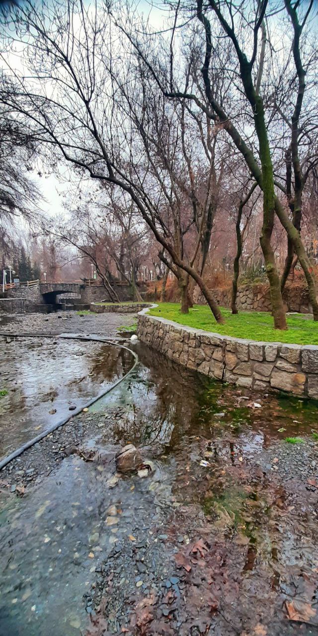 طبیعت زیبای زمستانی پارک جنگلی مشهد