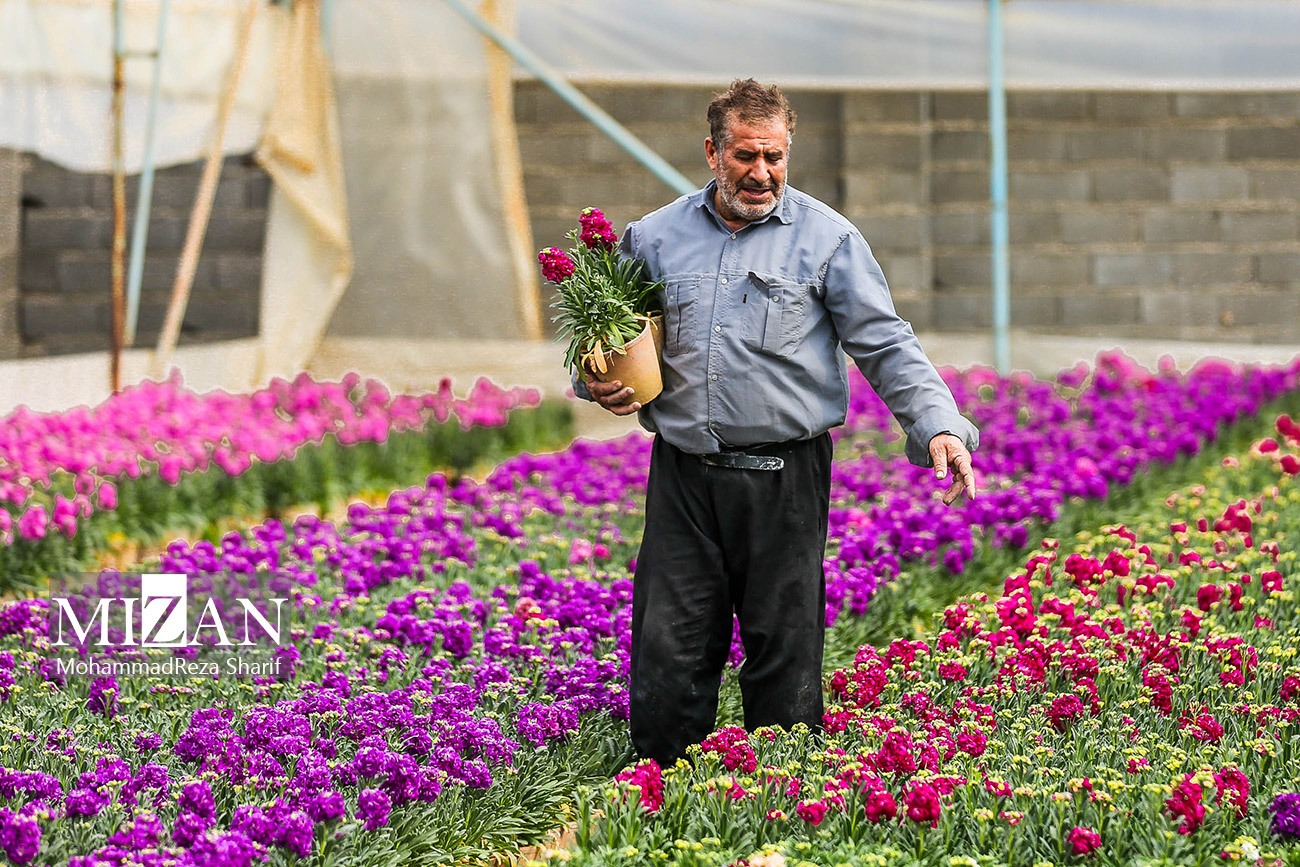 عکس/ بازار شب‌بو در آستانه نوروز