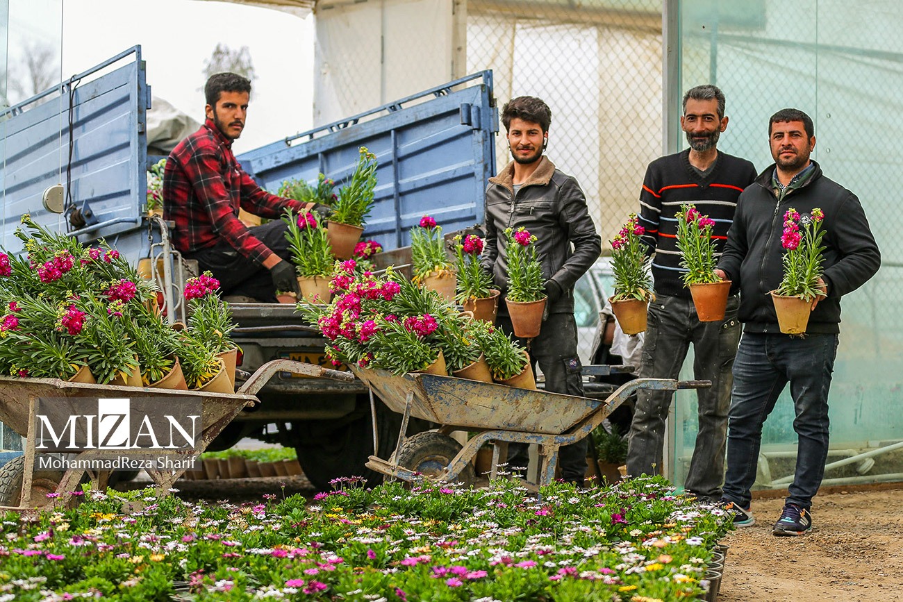 عکس/ بازار شب‌بو در آستانه نوروز